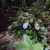 Review photo of Sugarloaf 1 Campground by Anna G., July 10, 2019