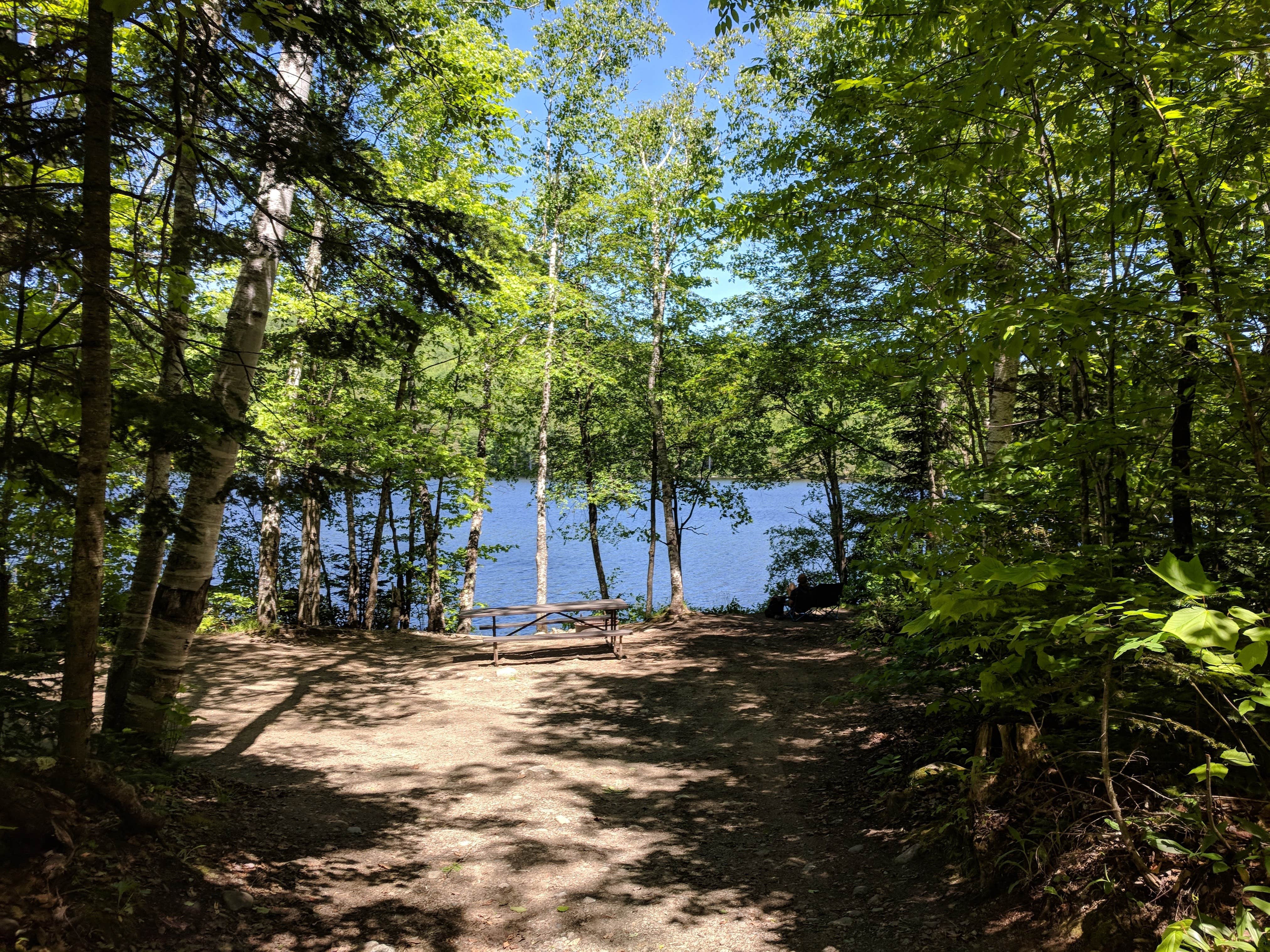 Camper submitted image from Ricker Pond State Park Campground - 4