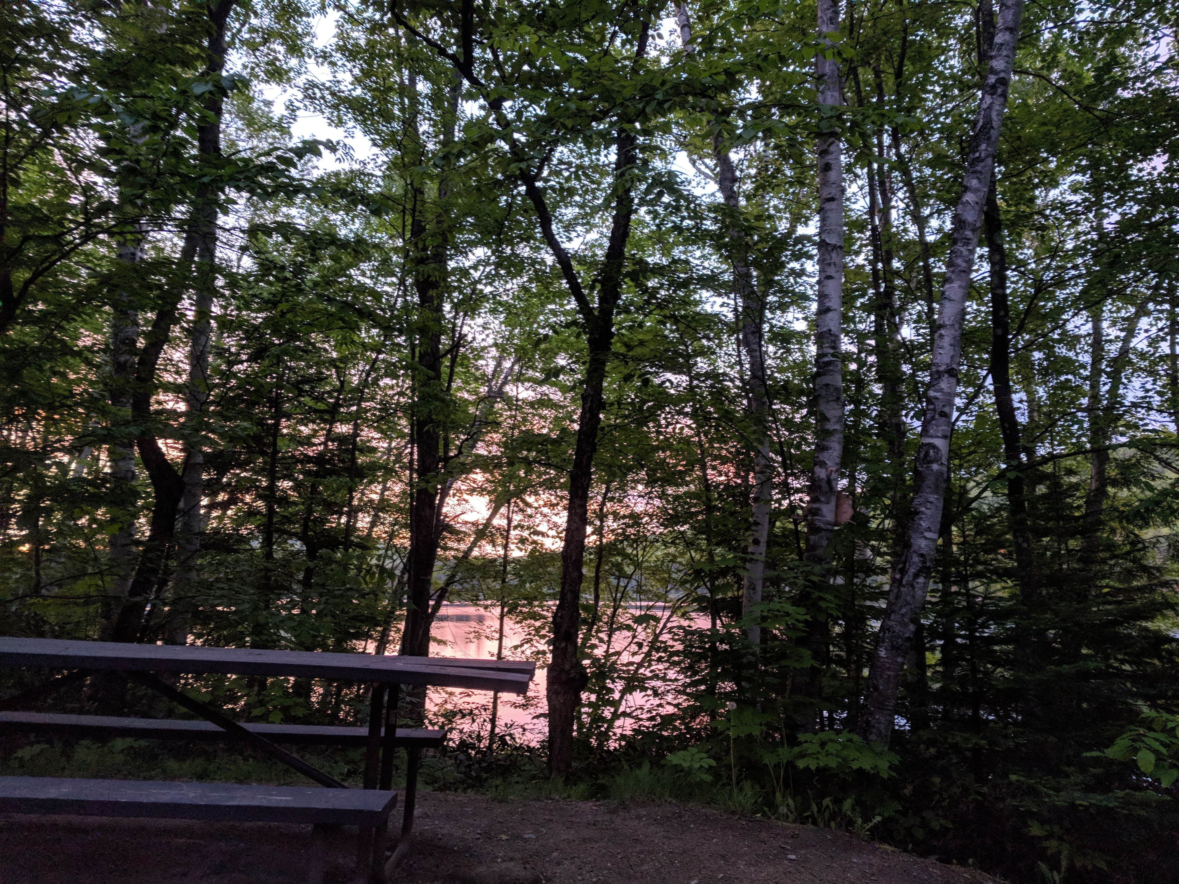 Camper submitted image from Ricker Pond State Park Campground - 4