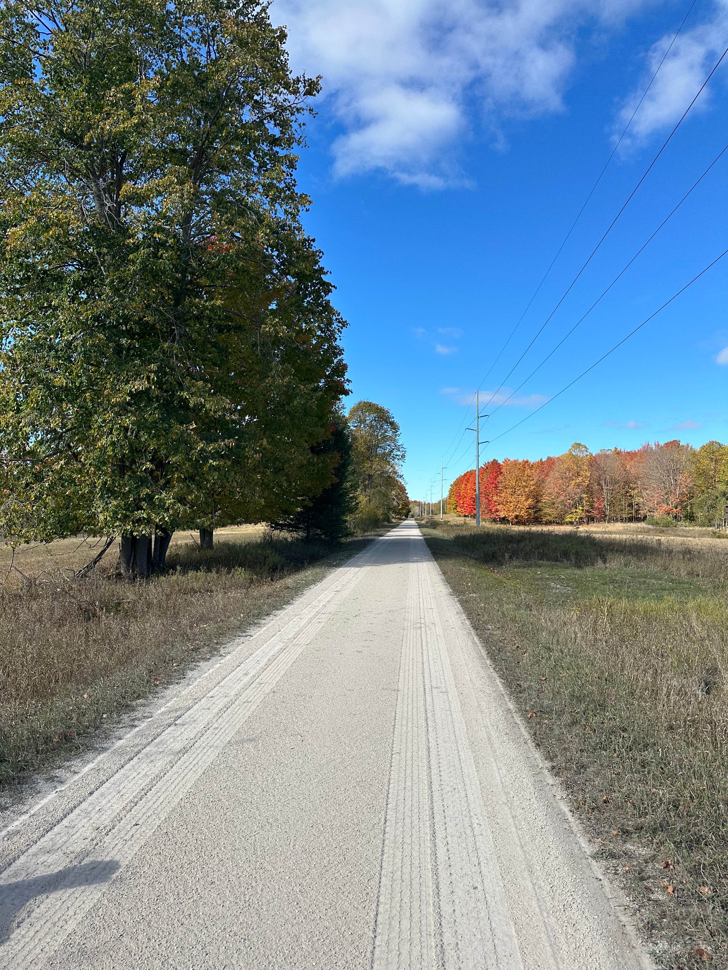 Camper-submitted photo at MI Lavender Farm near Millersburg, MI