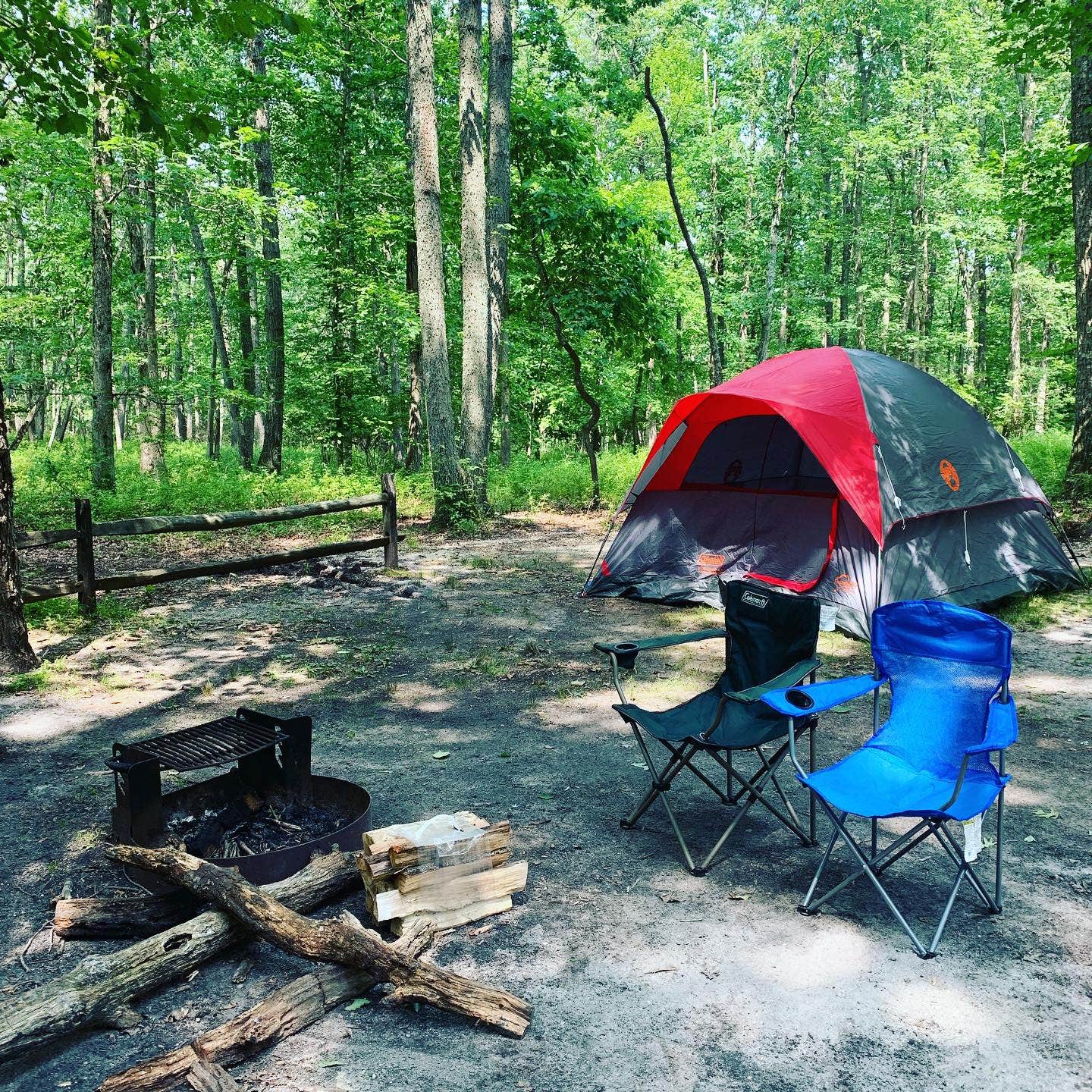 Camper submitted image from Turkey Swamp Park - 5