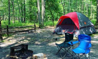 Justin S.'s photo at Turkey Swamp Park near Marlboro, NJ