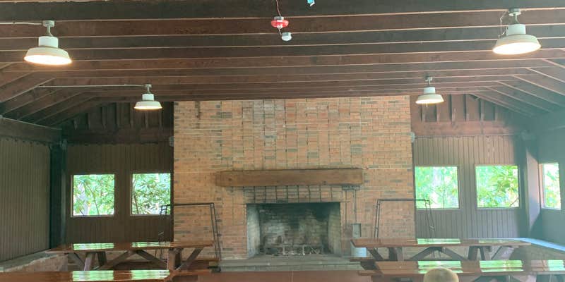 Camper submitted image from Turkey Swamp Park