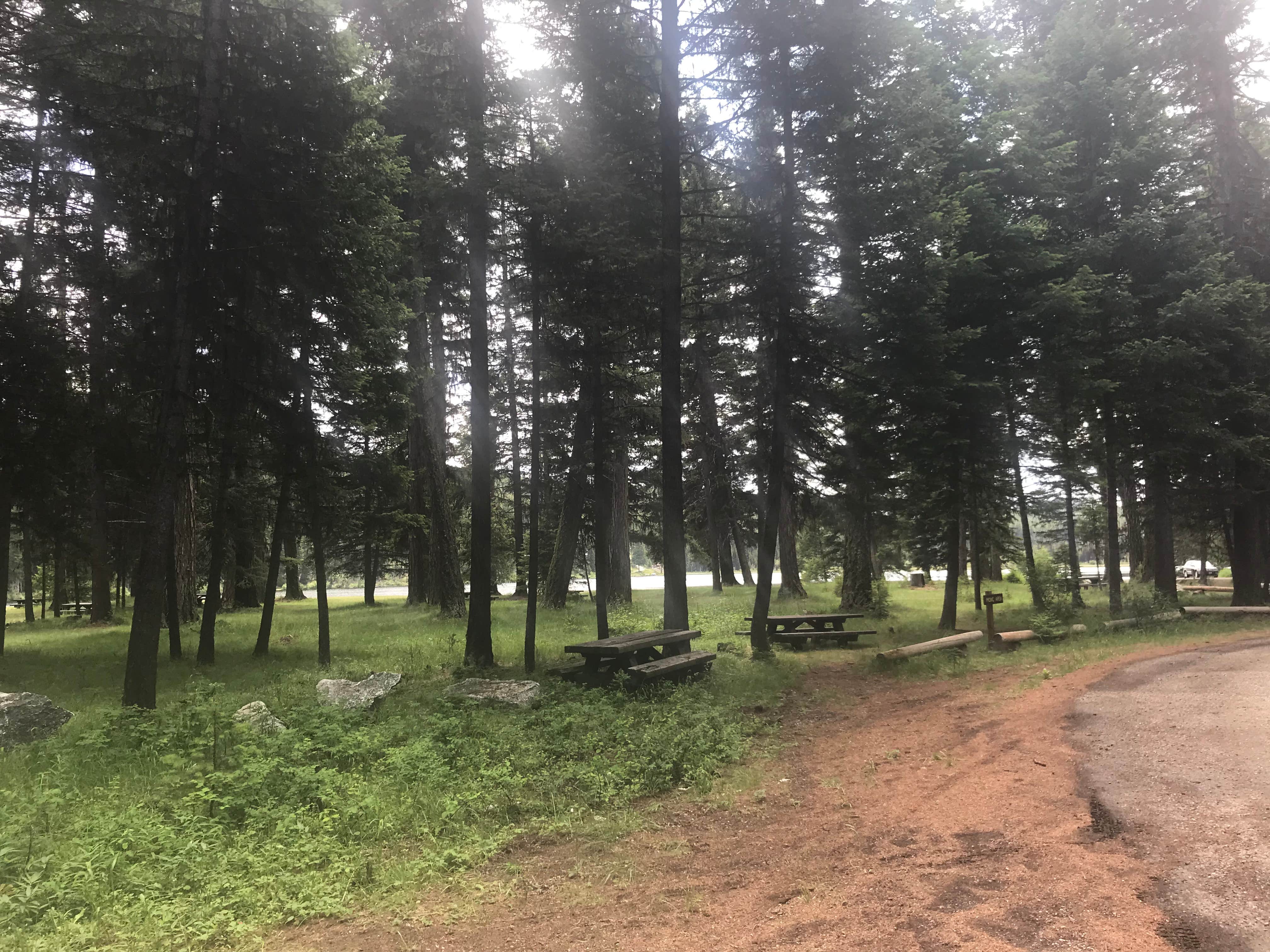 Camper submitted image from Lost Lake Group Unit - 3