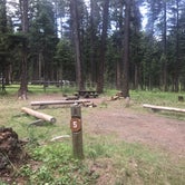 Review photo of Lost Lake Group Unit by Nanette C., July 10, 2019