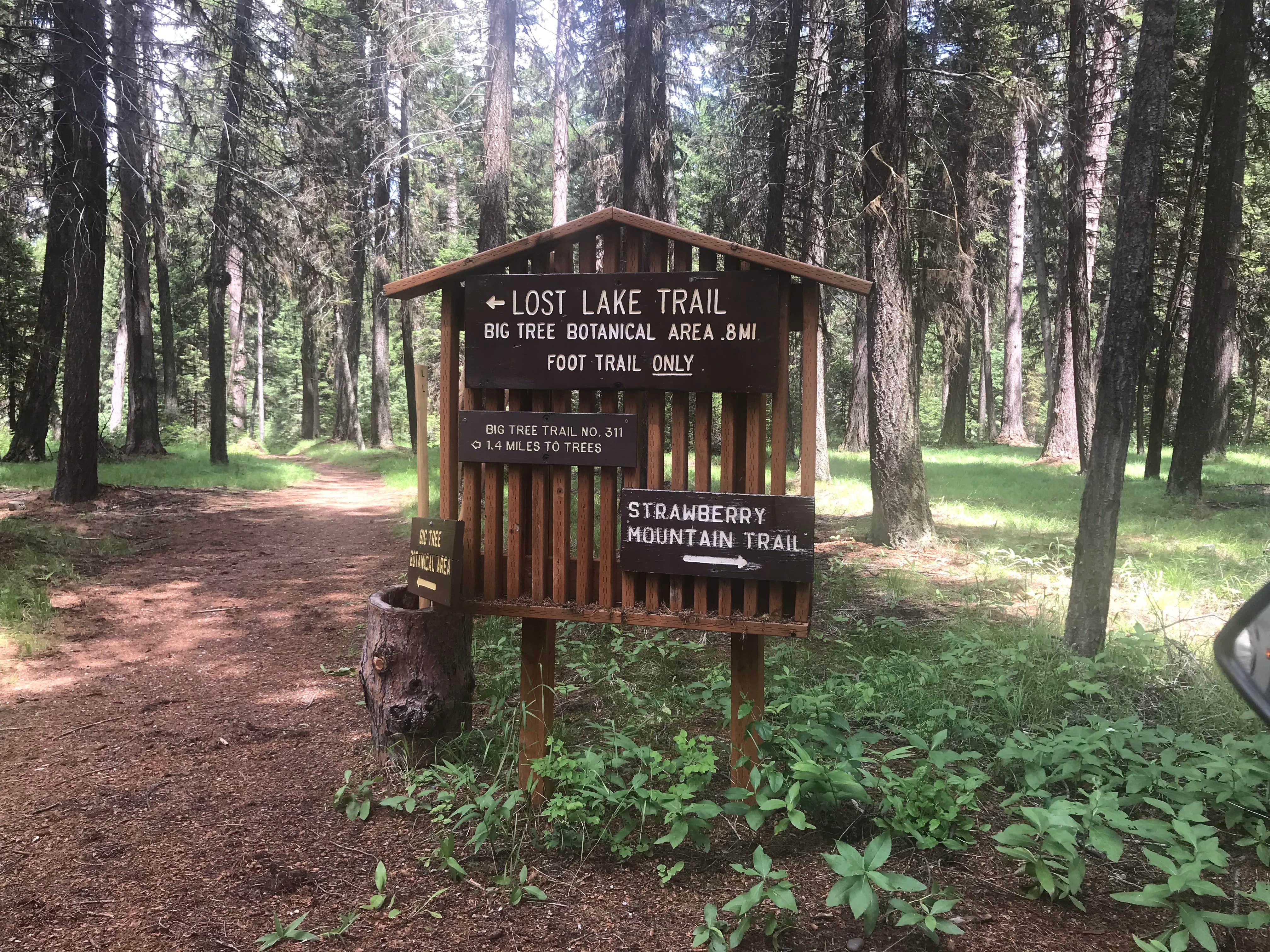 Camper submitted image from Lost Lake Group Unit - 5