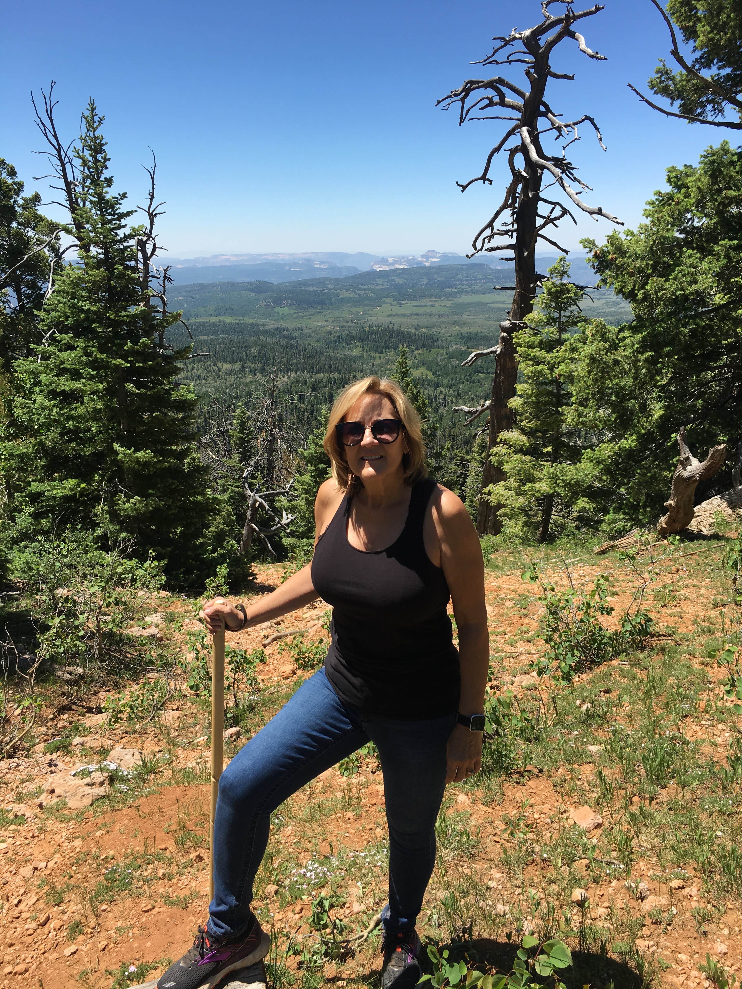 Camping near Whispering pines glamping resort: Pinewoods Resort, Duck Creek Village, Utah