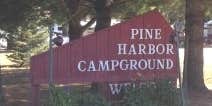 Camper submitted image from Pine Harbor Campground