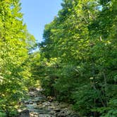 Review photo of Haystack Road by Jean C., July 11, 2019