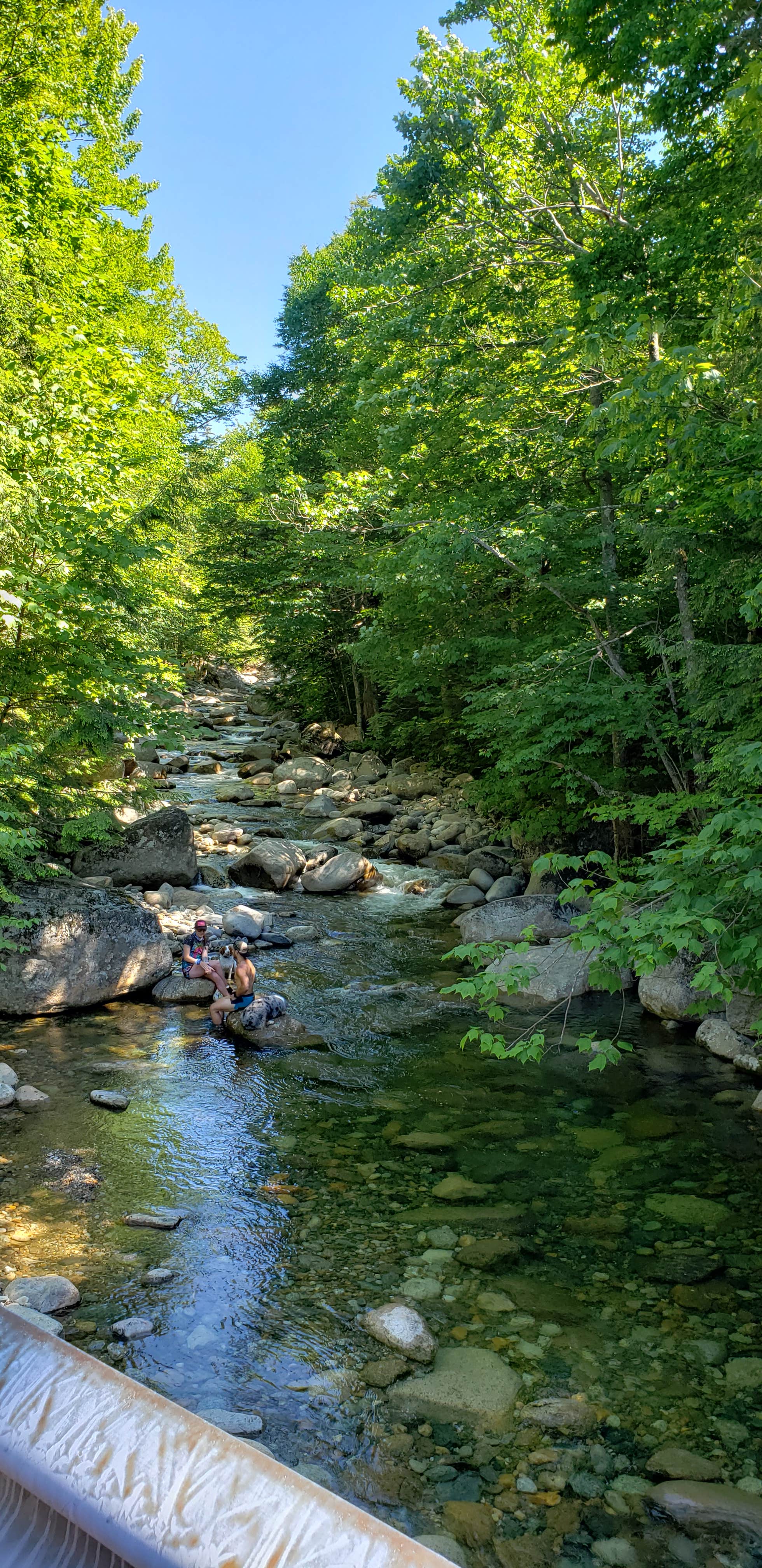 Camper submitted image from Haystack Road - 4