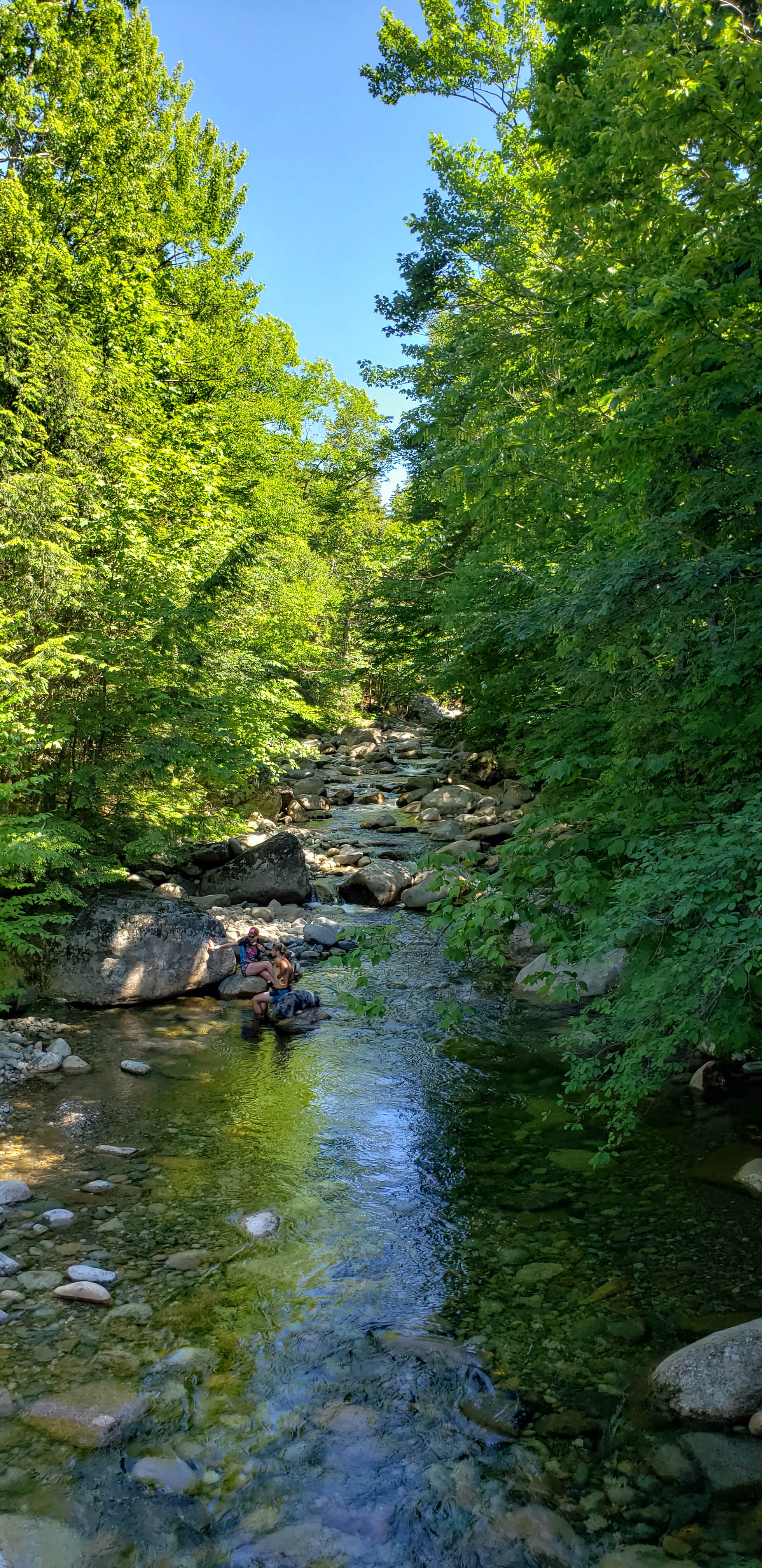 Nature