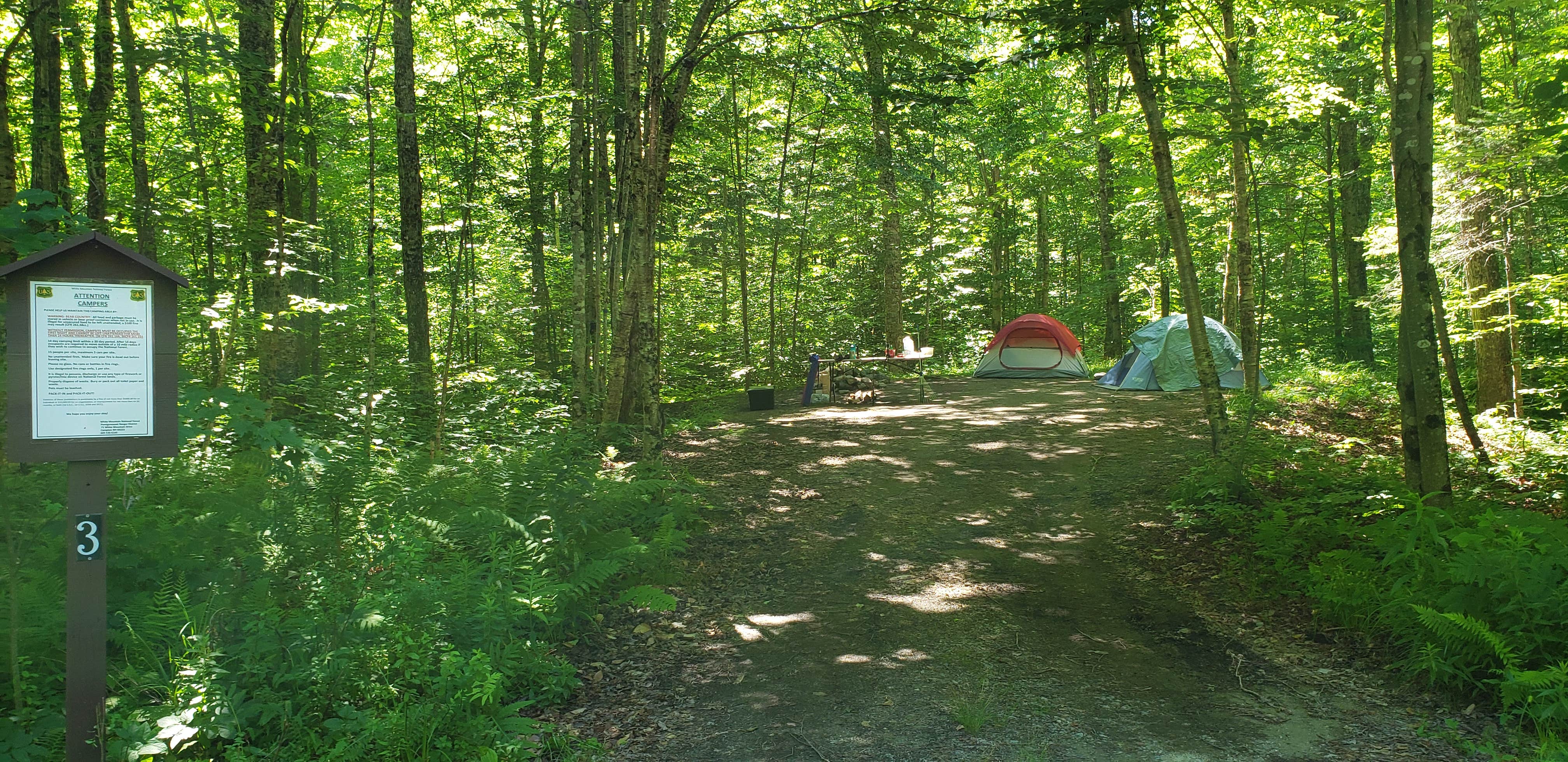 Jean C.'s photo of a dispersed camping area at Haystack Road near Denmark, ME