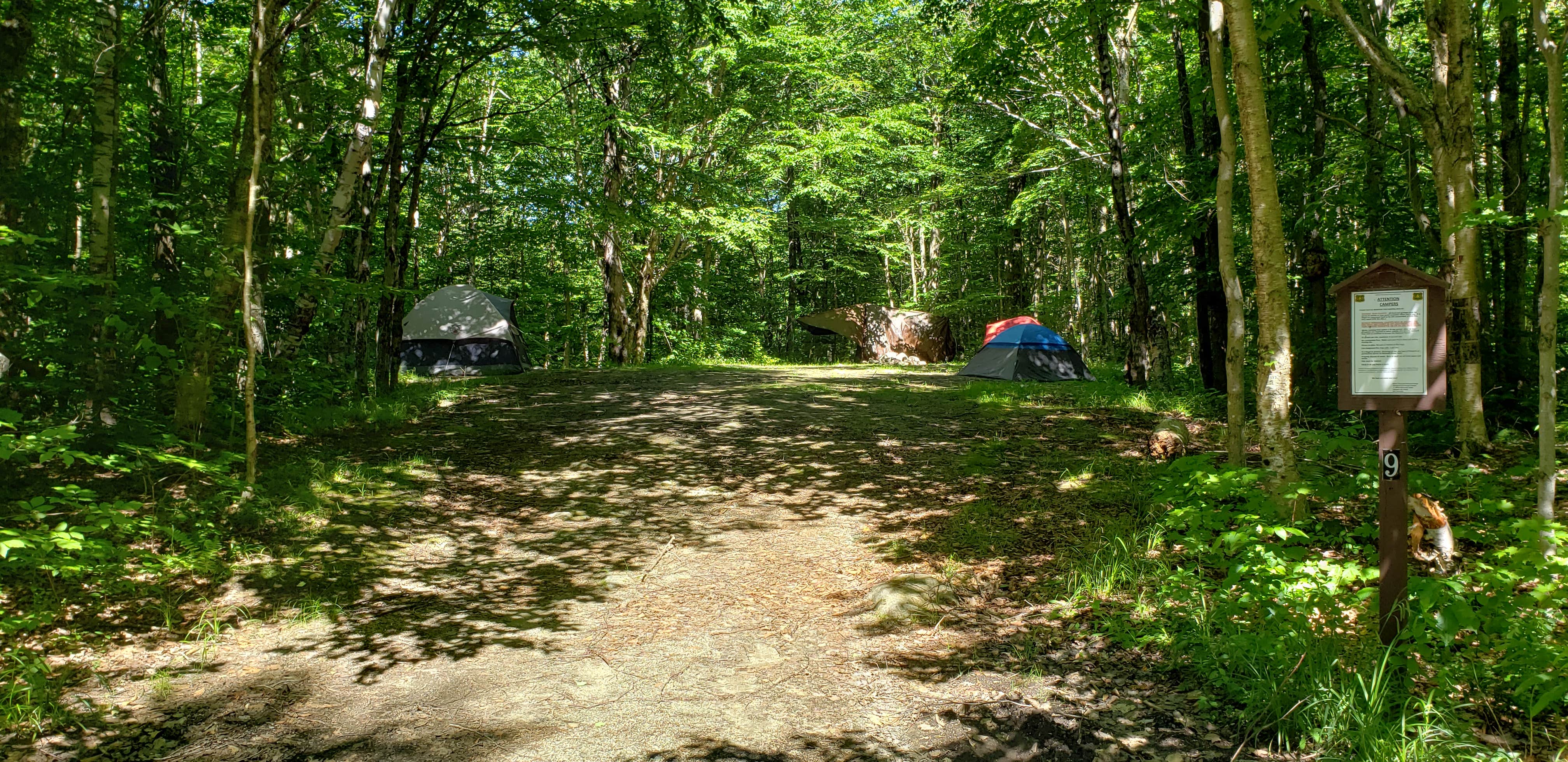 Jean C.'s photo of a dispersed camping area at Haystack Road near Fairlee, VT