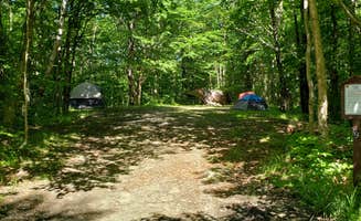 Jean C.'s photo of a dispersed camping area at Haystack Road in New Hampshire