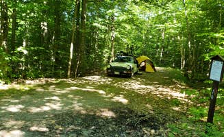 Jean C.'s photo of a dispersed camping area at Haystack Road near Sheffield, VT