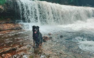 Lili R.'s photo of camping with pets at Willow River State Park Campground near Apple Valley, MN