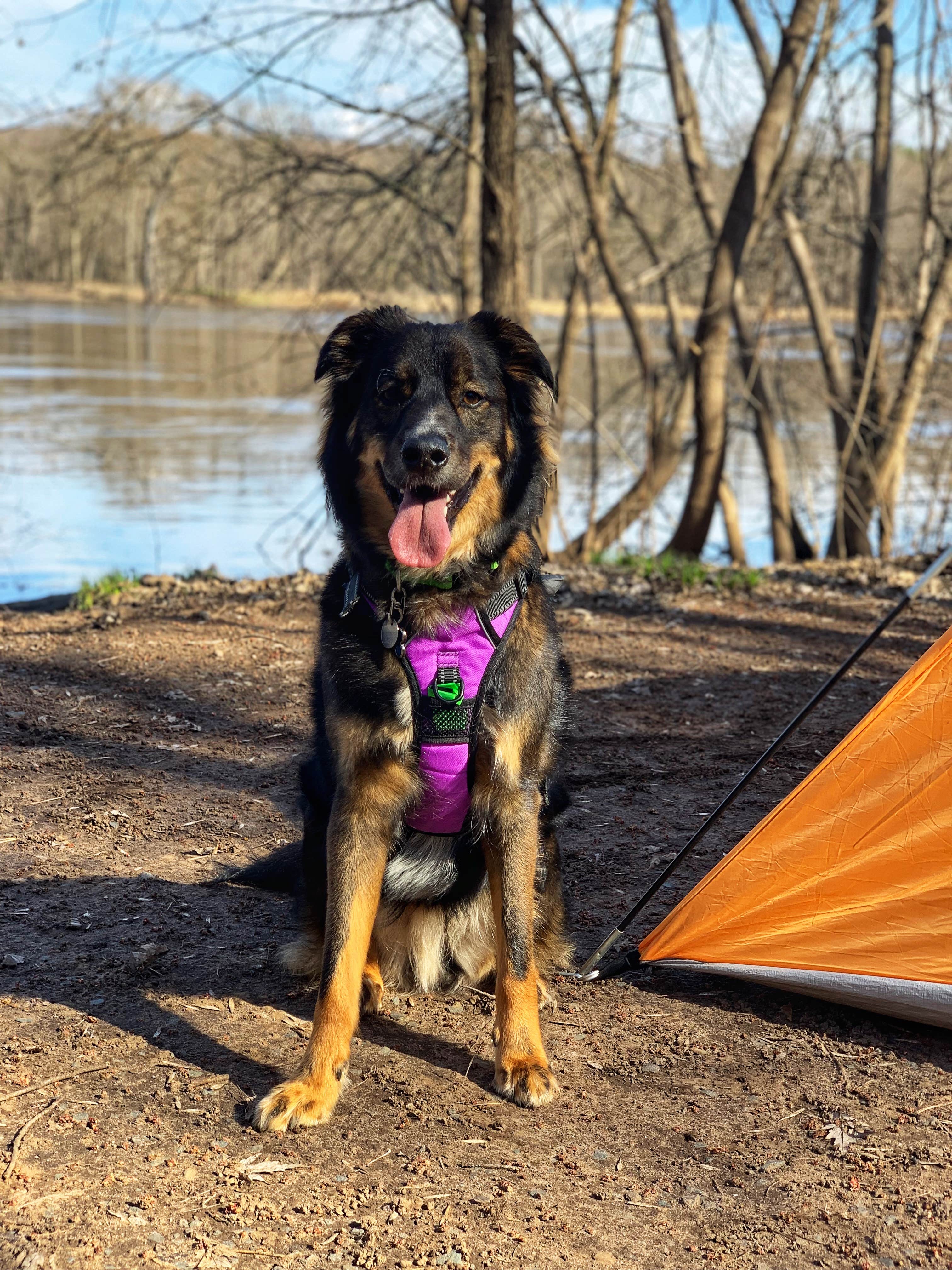 Lili R.'s photo at Interstate State Park — Interstate State Park near Lindstrom, MN