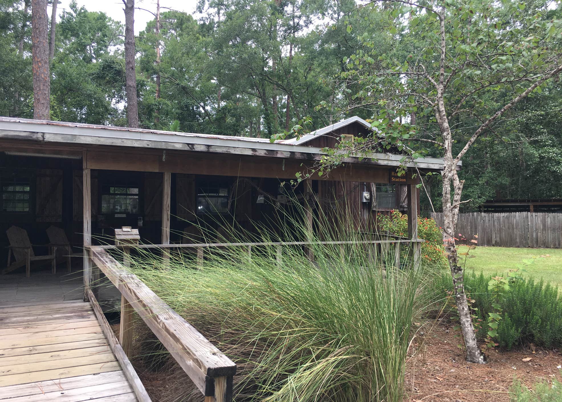 Camp Chowenwaw Park Treehouse Point Camping The Dyrt