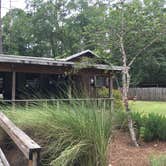 Review photo of Camp Chowenwaw Park - Treehouse Point by Tracy L H., July 11, 2019