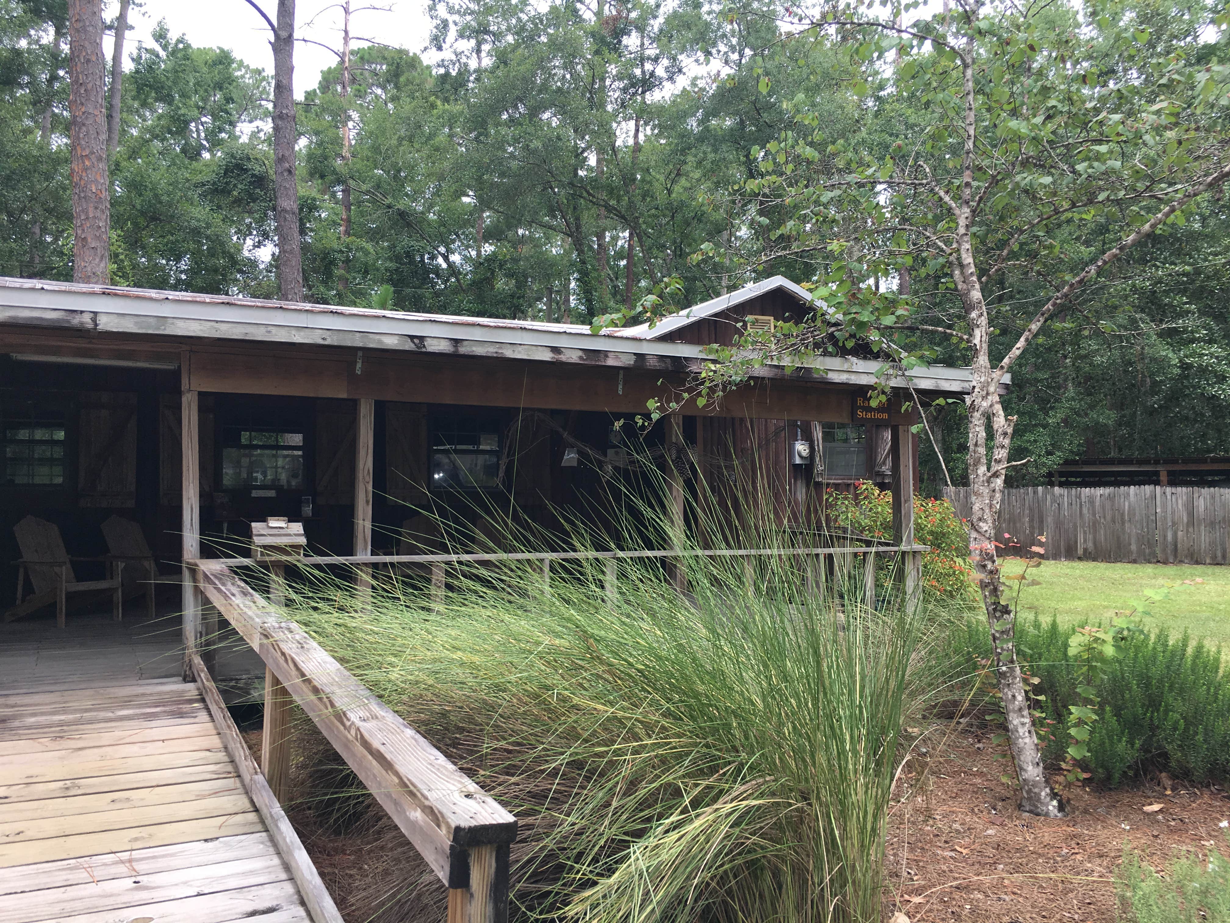 Camper submitted image from Camp Chowenwaw Park - Treehouse Point - 1