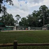 Review photo of Camp Chowenwaw Park - Treehouse Point by Tracy L H., July 11, 2019