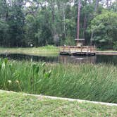 Review photo of Camp Chowenwaw Park - Treehouse Point by Tracy L H., July 11, 2019