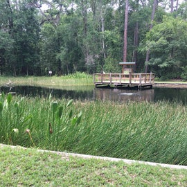 Otter Springs (pond)