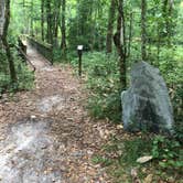 Review photo of Camp Chowenwaw Park - Treehouse Point by Tracy L H., July 11, 2019