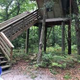 Review photo of Camp Chowenwaw Park - Treehouse Point by Tracy L H., July 11, 2019