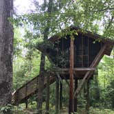 Review photo of Camp Chowenwaw Park - Treehouse Point by Tracy L H., July 11, 2019