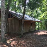 Review photo of Camp Chowenwaw Park - Treehouse Point by Tracy L H., July 11, 2019