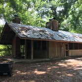 Review photo of Camp Chowenwaw Park - Treehouse Point by Tracy L H., July 11, 2019