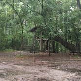 Review photo of Camp Chowenwaw Park - Treehouse Point by Tracy L H., July 11, 2019