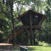 Review photo of Camp Chowenwaw Park - Treehouse Point by Tracy L H., July 11, 2019