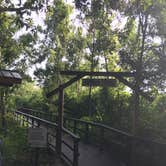 Review photo of Camp Chowenwaw Park - Treehouse Point by Tracy L H., July 11, 2019