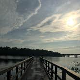 Review photo of Camp Chowenwaw Park - Treehouse Point by Tracy L H., July 11, 2019