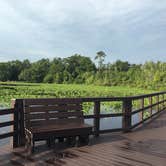 Review photo of Camp Chowenwaw Park - Treehouse Point by Tracy L H., July 11, 2019