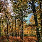 Review photo of Jay Cooke State Park Campground by Lili R., July 11, 2019