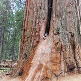 Review photo of Redwood Meadow by Lili R., July 11, 2019