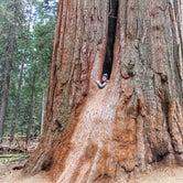 Review photo of Redwood Meadow by Lili R., July 11, 2019