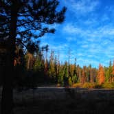 Review photo of Redwood Meadow by Lili R., July 11, 2019