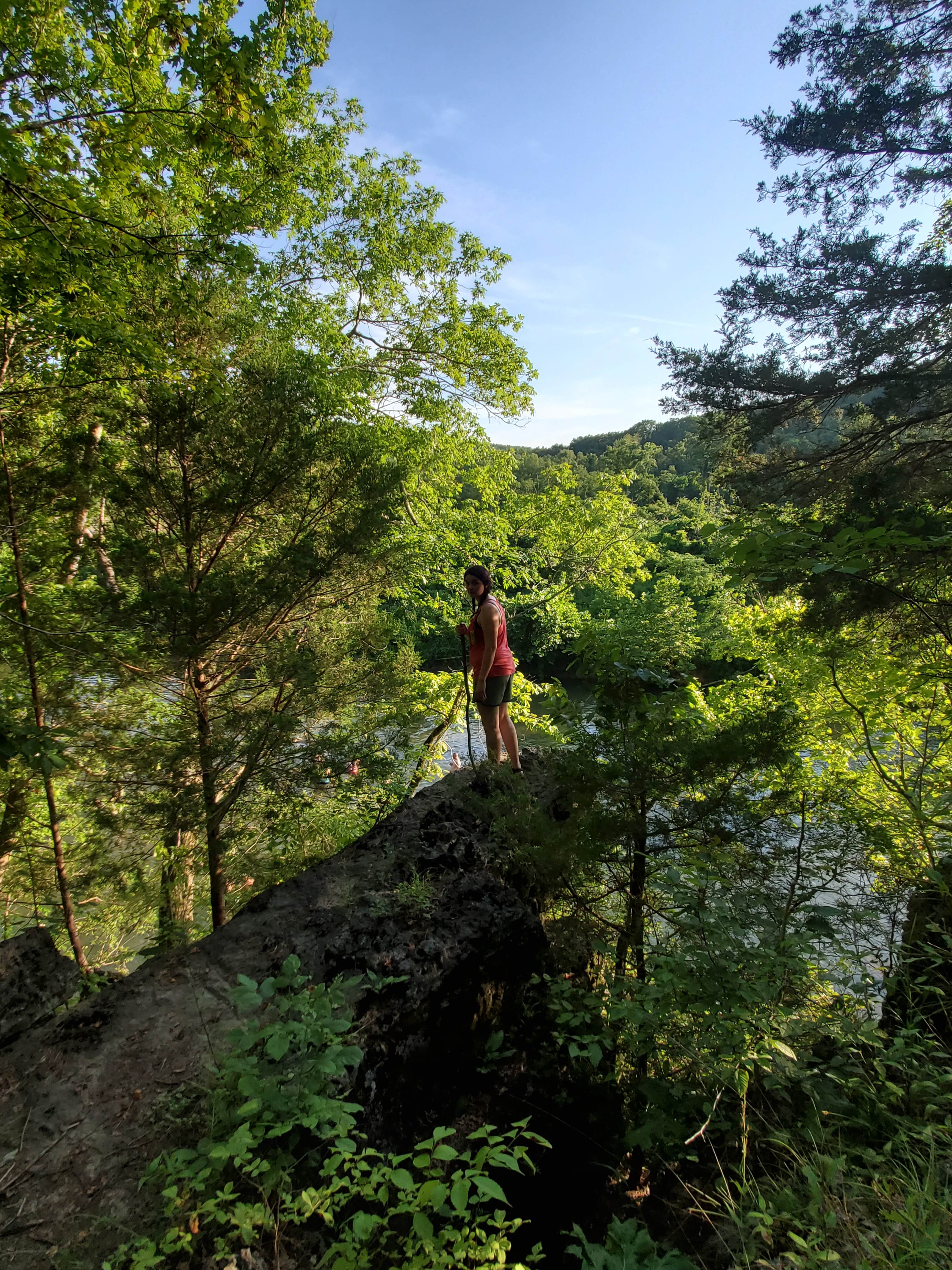Camper-submitted photo at North Fork near Dora, MO