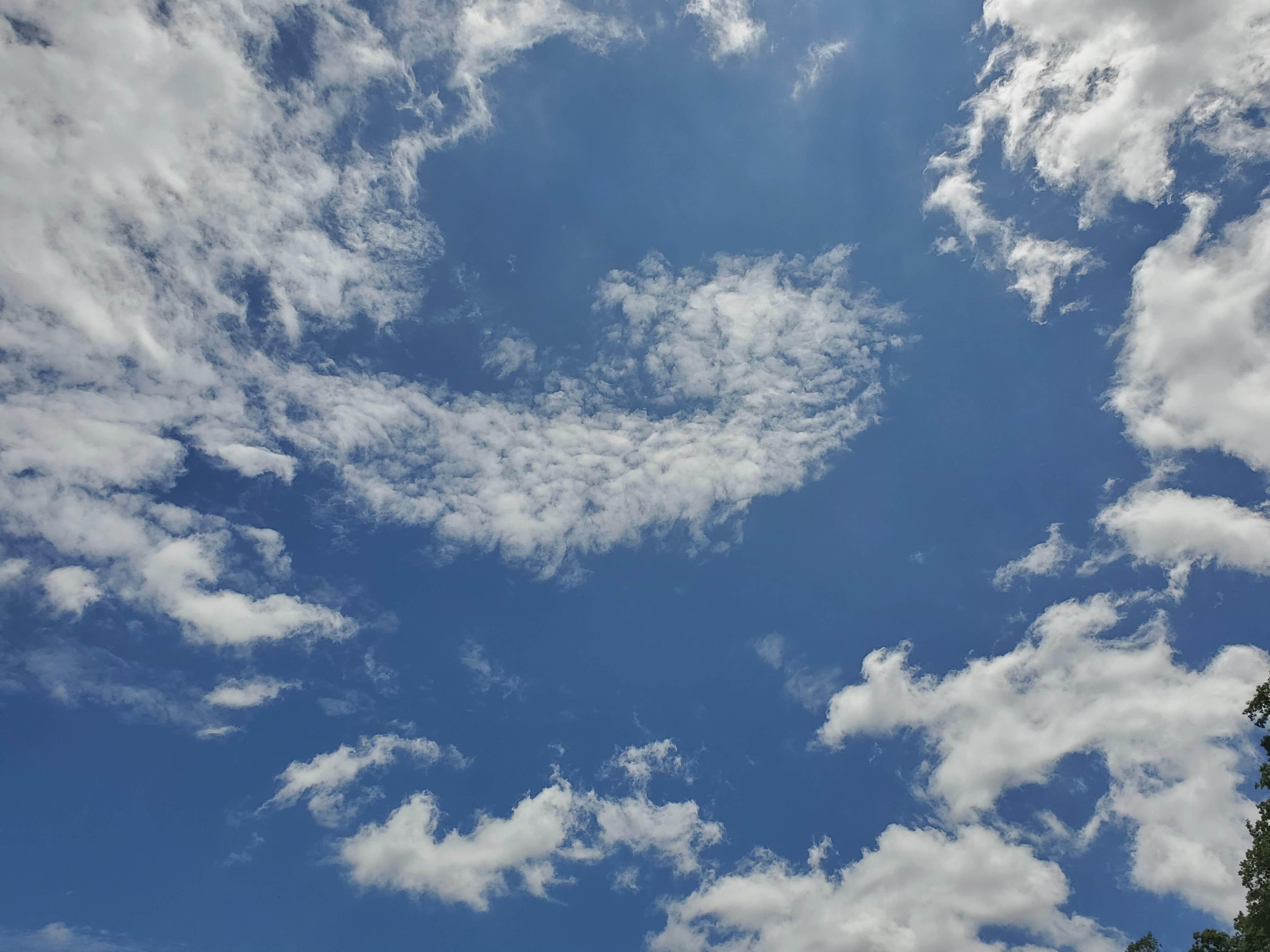 Camper-submitted photo at North Fork near West Plains, MO