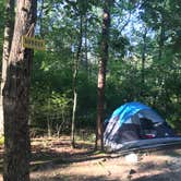 Review photo of Cloudland Canyon State Park Campground by Kaitlyn C., July 11, 2019