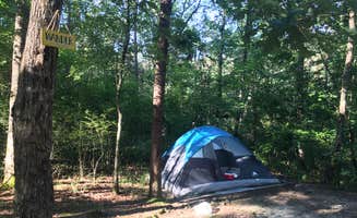 Kaitlyn C.'s photo at Cloudland Canyon State Park Campground near Whiteside, TN