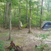 Review photo of Cloudland Canyon State Park Campground by Kaitlyn C., July 11, 2019
