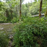 Review photo of Dispersed Camping NF 2918 — Olympic National Park by Katherine D., July 11, 2019