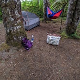 Review photo of Dispersed Camping NF 2918 — Olympic National Park by Katherine D., July 11, 2019