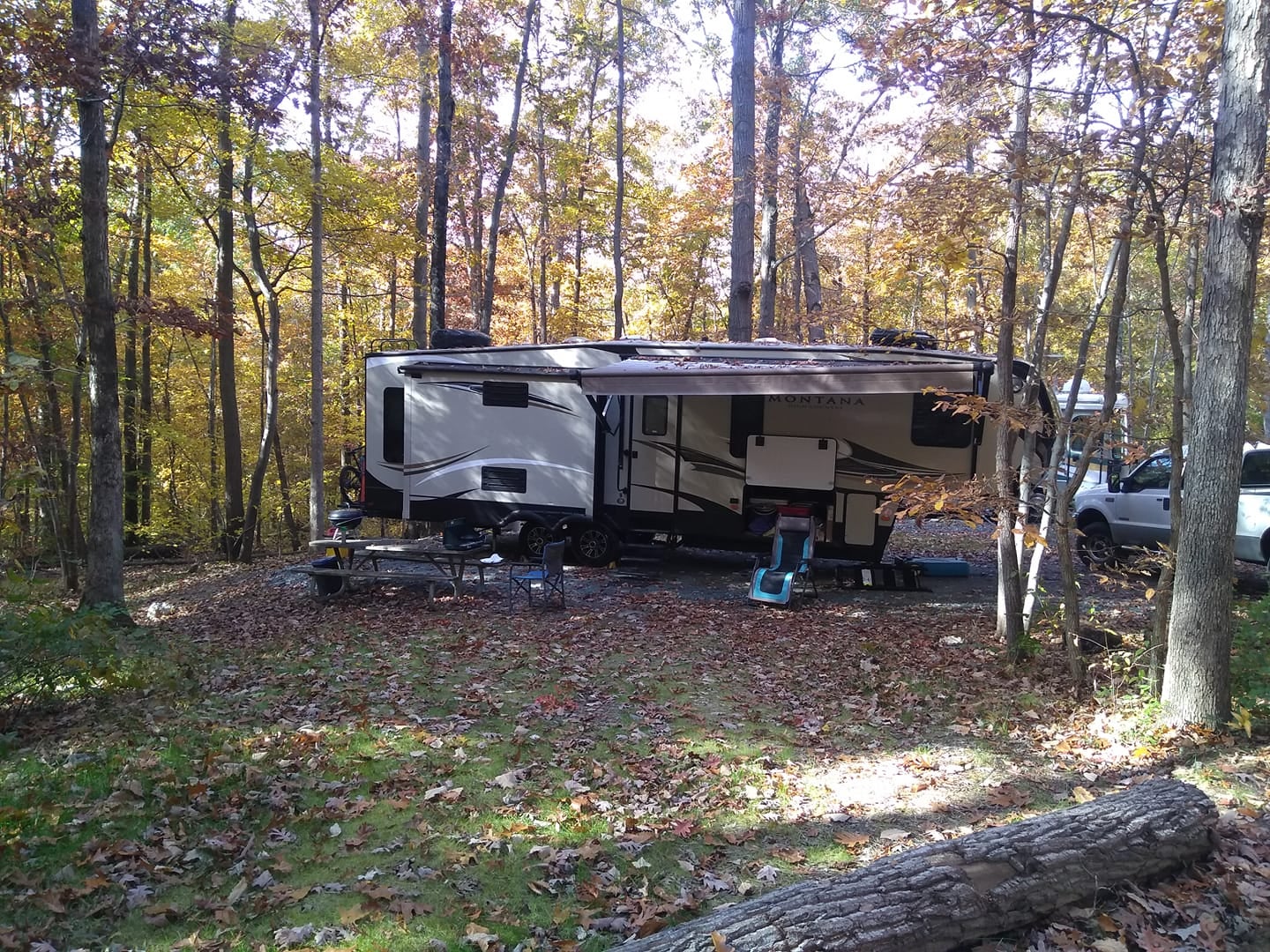 Camper submitted image from Little Bennett Campground - 4