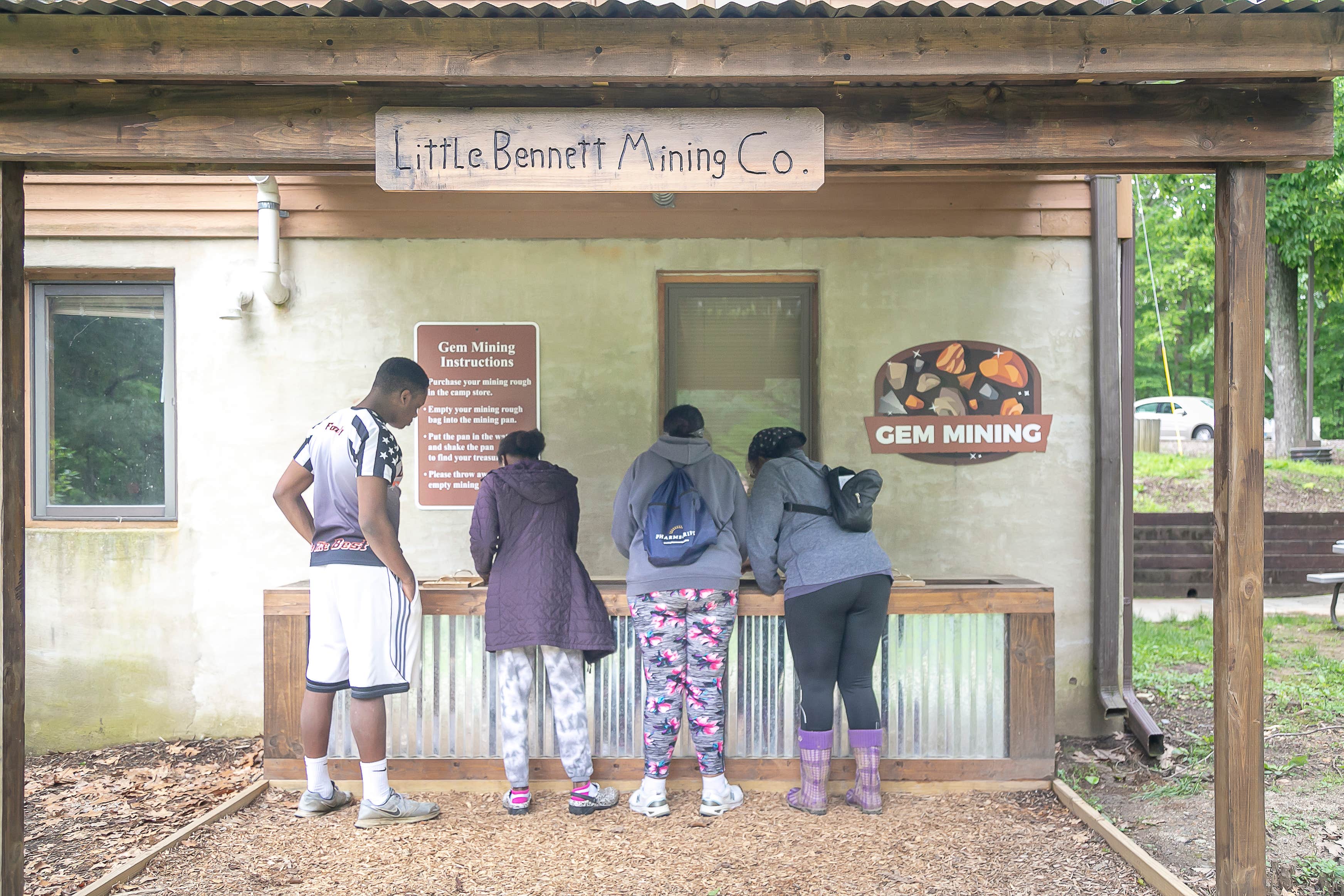 Little Campground Camping The Dyrt